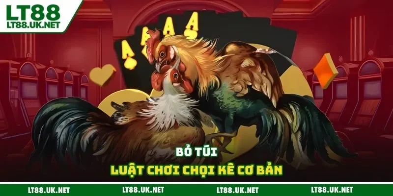 Bỏ túi luật chơi chọi kê cơ bản