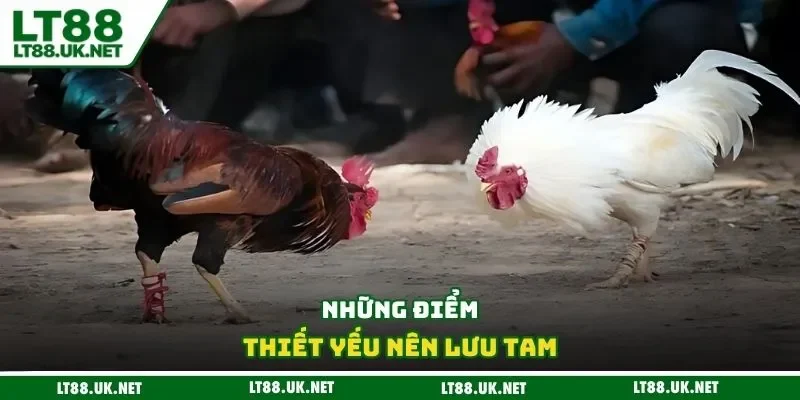 Những điểm thiết yếu nên lưu tam