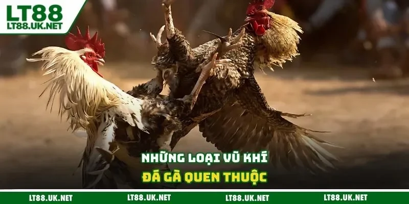 Những loại vũ khí đá gà quen thuộc