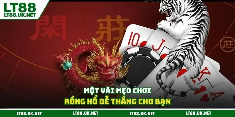 Một vài mẹo chơi rồng hổ dễ thắng cho bạn